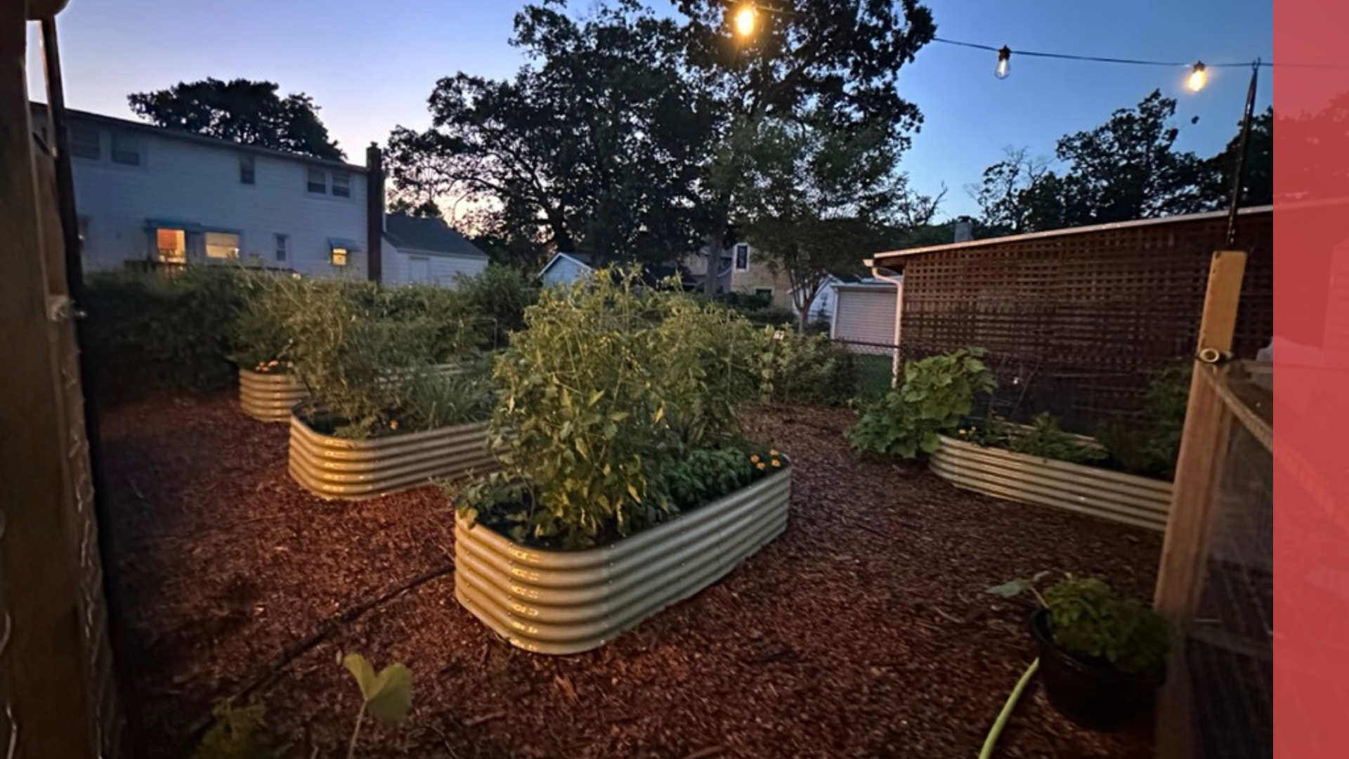 3 Things That I'm Currently Enjoying (July 2025 Edition)